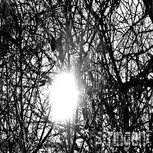 Glory Unto the Scarlet Woman