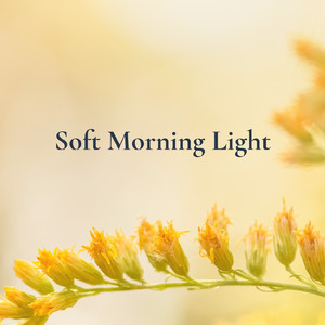 Soft Morning Light