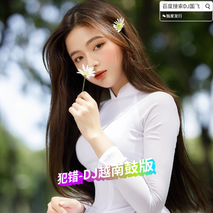 犯错-DJ越南鼓版