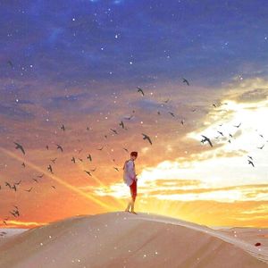 和宇宙的温柔关联