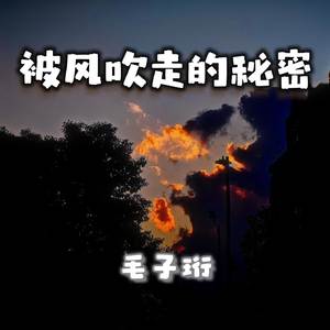 被风吹过的秘密