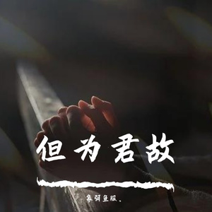 但为君故