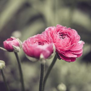 【Free】花季雨季（橙Style Beat）