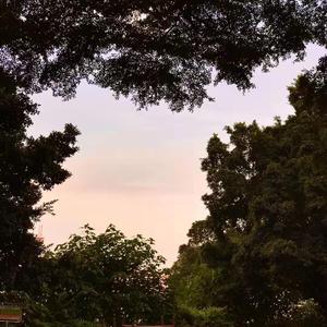 Drama's Vice City（prod.Furyl/JACKWAVY）