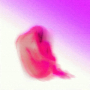 otrazhenie (x Puancore*******)