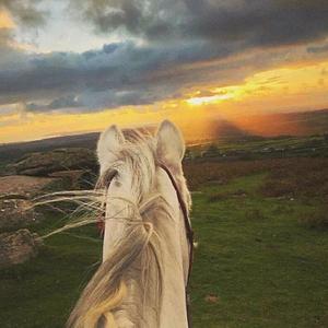 化作烟火为你坠落 (0.8x)