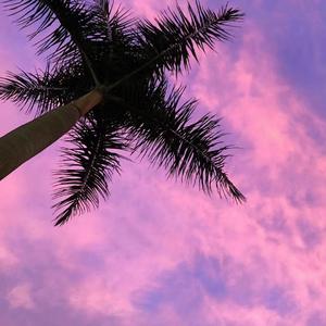 KnowKnow-唯一（王炫仔 )（王炫仔 Y not ）