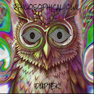 Philosophical Owl