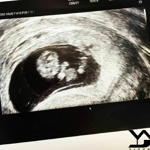 와이준의 태교음악