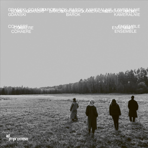 Nathanael Schnittelbach - Suite in C minor - 2. Galliarda