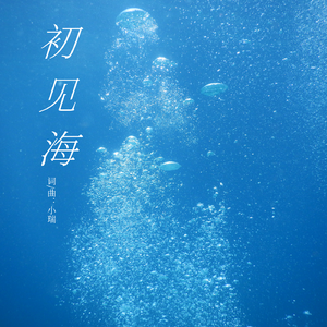 初见海