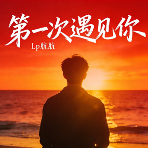 第一次遇见你