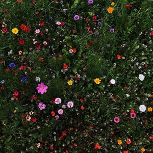 snow (feat. springs!)