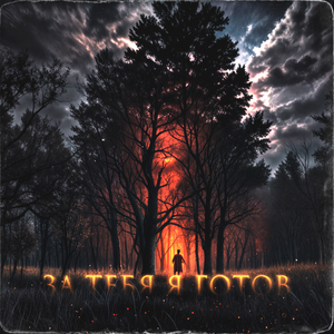 За тебя я готов