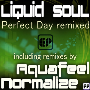 Perfect Day (Aquafeel Remix)
