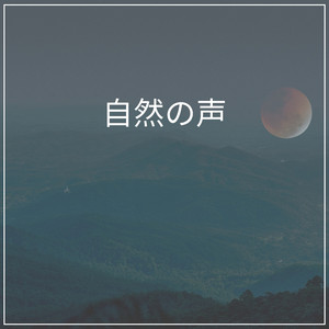 Meditation with Nature, Pt. 14