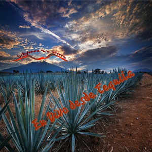 Las Mulas Del Garame (En vivo)