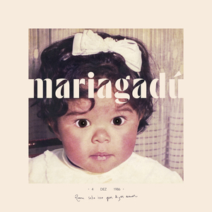 Admirável Gado Novo