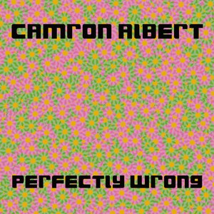 Perfectly Wrong (Radio Edit)