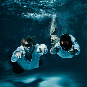 Новая Жизнь