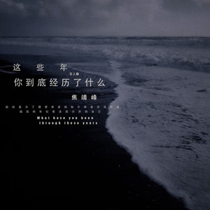 这些年你到底经历了什么 (DJ版)