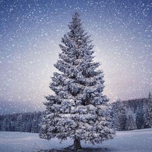 Joy to the World (feat. Sibiri)