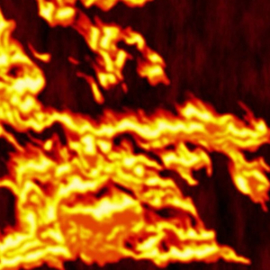 Se souvenir des belles choses