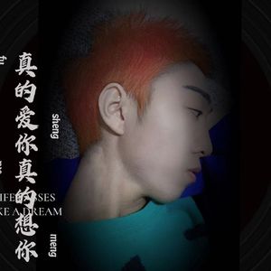 真的爱你真的想你