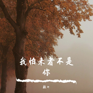 我怕来者不是你