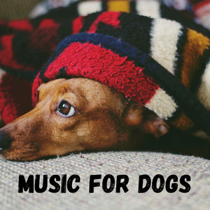 Classical Music For Dogs