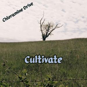 Cultivate