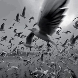 还没长大（ prod by FRESH）