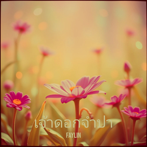 เจ้าดอกจำปา