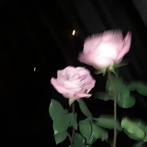 无解的题 没有答案