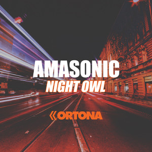 Night Owl (Original Mix)