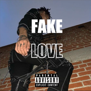 FakeLove(Prod.RossGossage)
