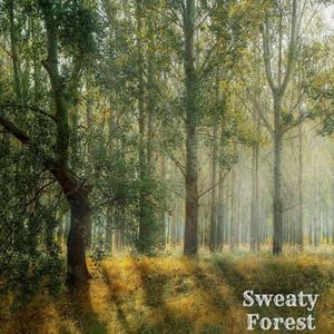 Sweaty Forest