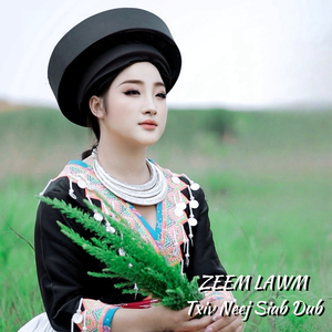 Zeem Lawm Txiv Neej Siab Dub