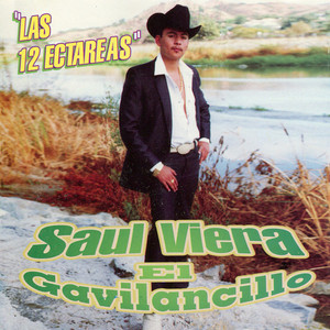 Pegandole al Polvo