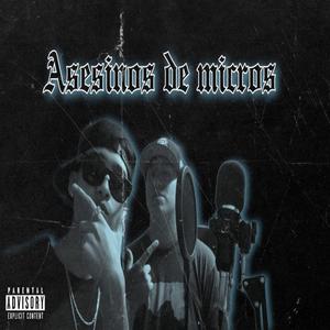 Asesinos de micros