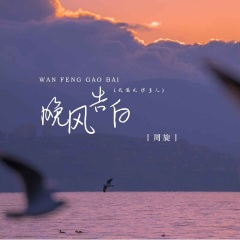 晚风告白 (我遇见很多人)