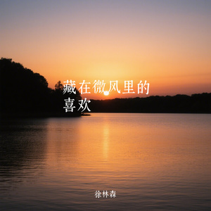 藏在微风里的喜欢