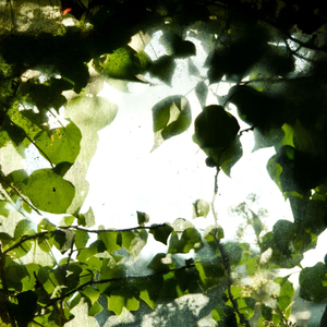 有趣休息中情怀