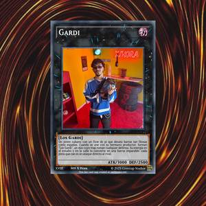 seXION XVIII (Gardi) ALZAO