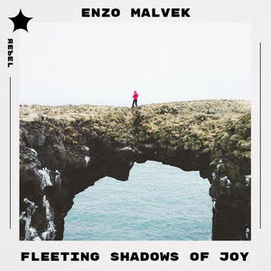 Fleeting Shadows of Joy