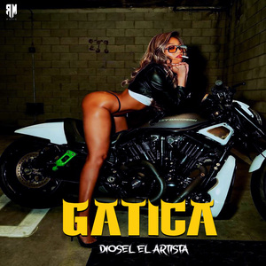 Gatica