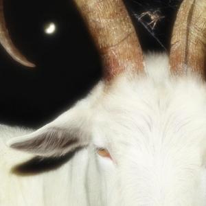 sleeping