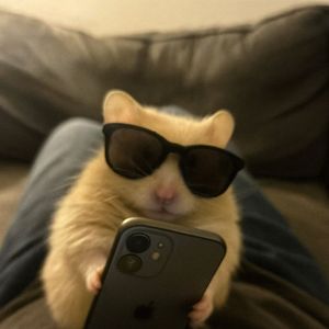 最好的我➕50feet