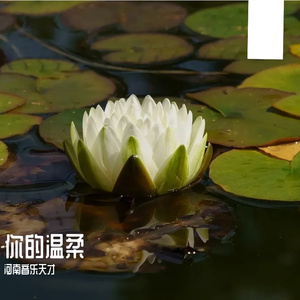 你的温柔prod.白昼星BZX