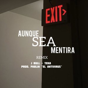 Aunque Sea Mentira (Remix)